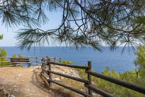     - 3      -  &quot;Ntinas Filoxenia&quot; 4* -   !
